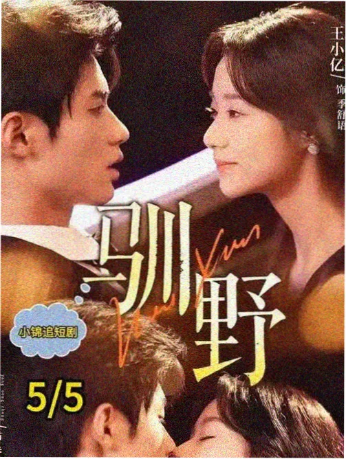 暗影侦探 侦探爱情剧